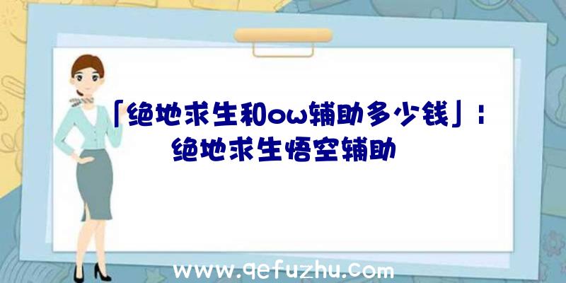 「绝地求生和ow辅助多少钱」|绝地求生悟空辅助